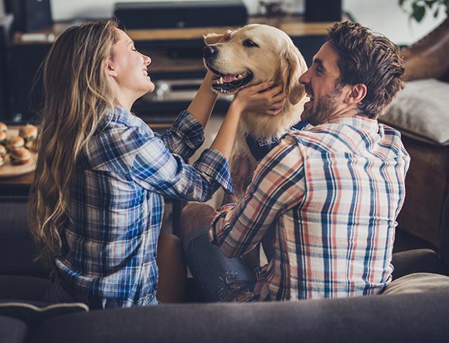Happy couple at home playing with their dog